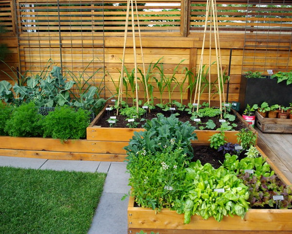 Contemporary-Mini-Herb-Garden-Patio-Container