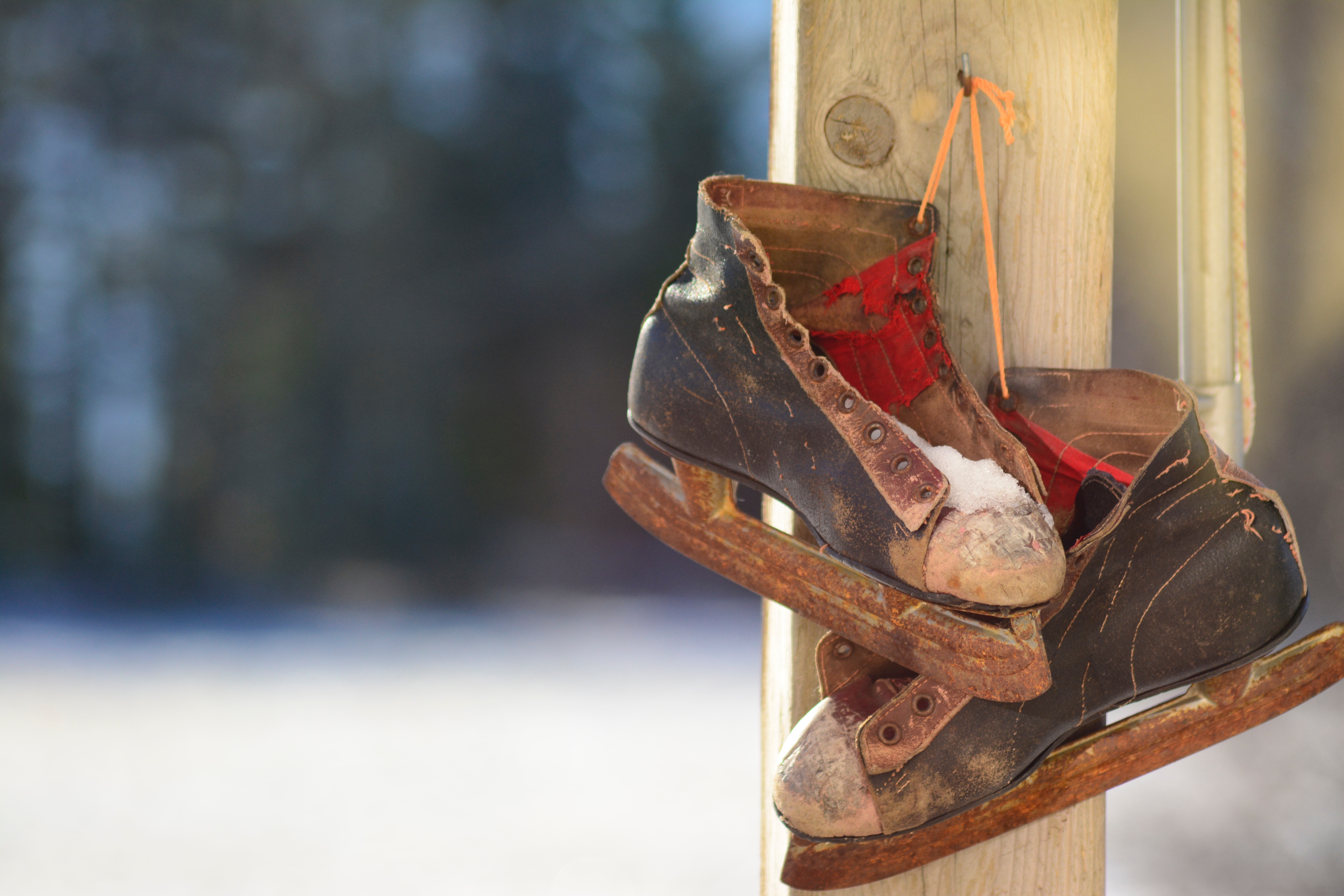 terry-matthews-48483-unsplash